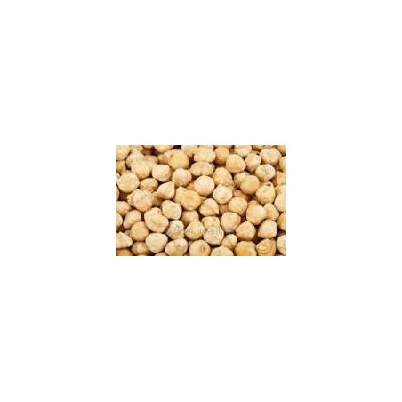 ORZECH LASKOWY PRAŻONY BLANSZOWANY (1 KG)