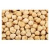 ORZECH LASKOWY PRAŻONY BLANSZOWANY (1 KG)