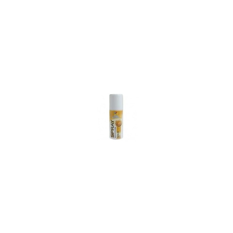BARWNIK ZŁOTY W SPRAYU (250 ML) BARWNIK ZŁOTY W SPRAYU (250 ML)