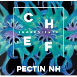 Pektyna NH CH004 (500 g)