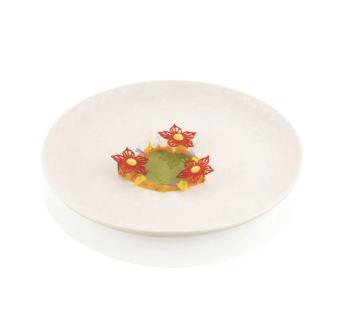 FORMA SILIKONOWA  BOTANICA (34 GN)