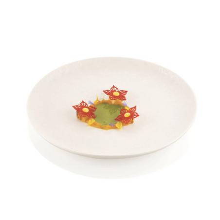 FORMA SILIKONOWA  BOTANICA (34 GN)