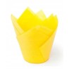 PAPILOTKI TULIPAN ŻÓŁTE (180 SZT)
