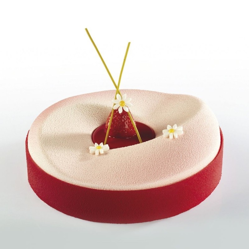 FORMA SILIKONOWA PAVOCAKE PK003 (6 GN)