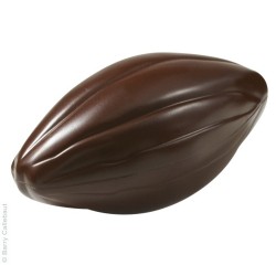 FORMA DO CZEKOLADY ZIARNO KAKAOWCA DUŻE (2 GN)