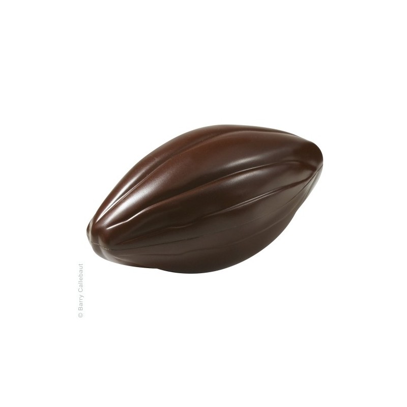 FORMA DO CZEKOLADY ZIARNO KAKAOWCA DUŻE (2 GN)