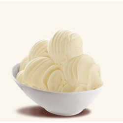 PASTA WANILIOWA VANIGLIA MADAGASCAR PREMIUM (3,5 KG)