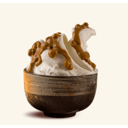 PASTA CZEKOLADOWO CIASTECZKOWA CREMA CHOCOSPECULOOS (3 KG)