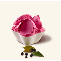 MIESZANKA DO SORBETÓW CZARNY BEZ SAMBUCO FLASH (1,2 KG)