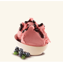 VARIEGATURA JAGODOWA AMORDIFRUTTA MIRTILLO (3,5 KG)