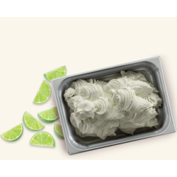 MIESZANKA DO SORBETÓW LIMONKOWA GUSTO LIME FLASH (1,2 KG)