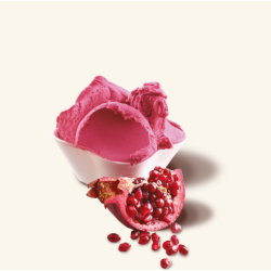 MIESZANKA DO SORBETÓW GRANAT MELAGRANA FLASH (1,2 KG)