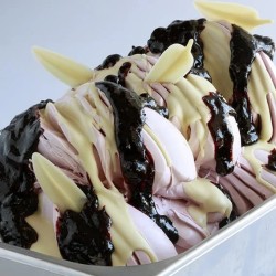 VARIEGATURA CZARNA PORZECZKA JOYFRUIT CASSIS (3,5 KG)