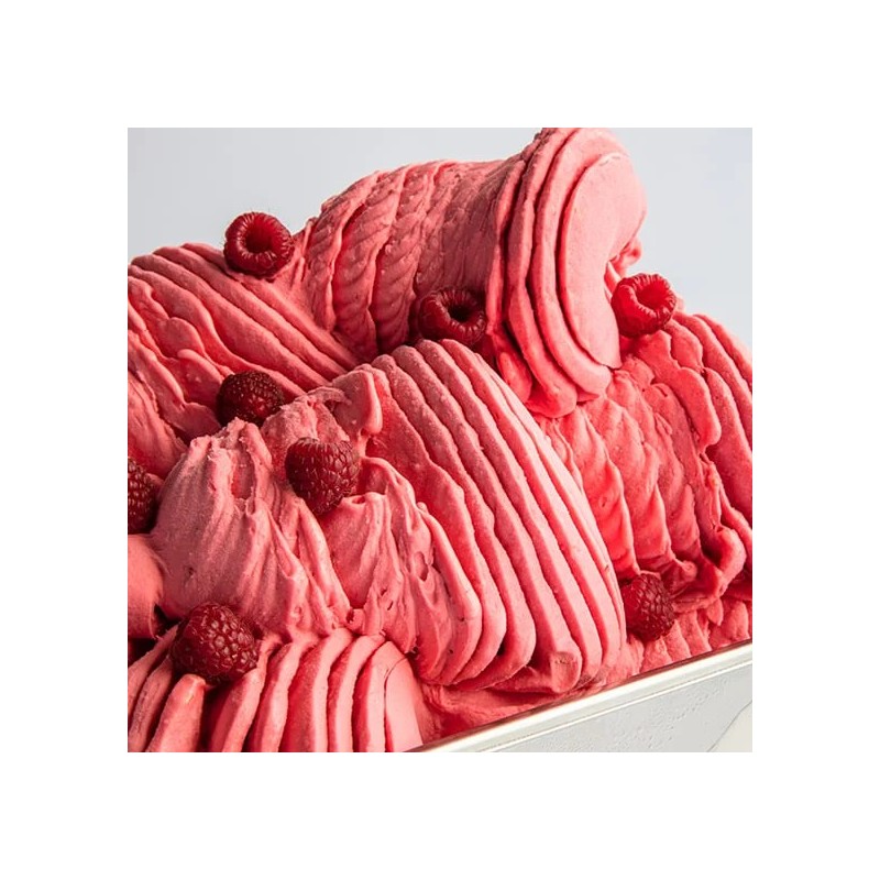 PASTA MALINOWA JOYPASTE LAMPONE (1,2 KG)