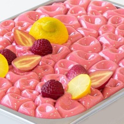 STRZELAJĄCA VARIEGATURA MALINOWO TRUSKAWKOWA (5 KG)