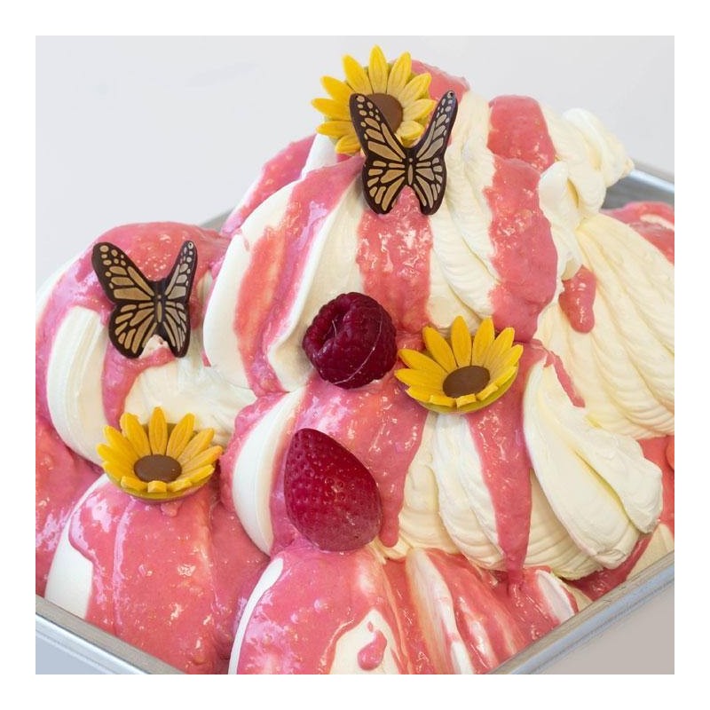 STRZELAJĄCA VARIEGATURA MALINOWO TRUSKAWKOWA (5 KG)