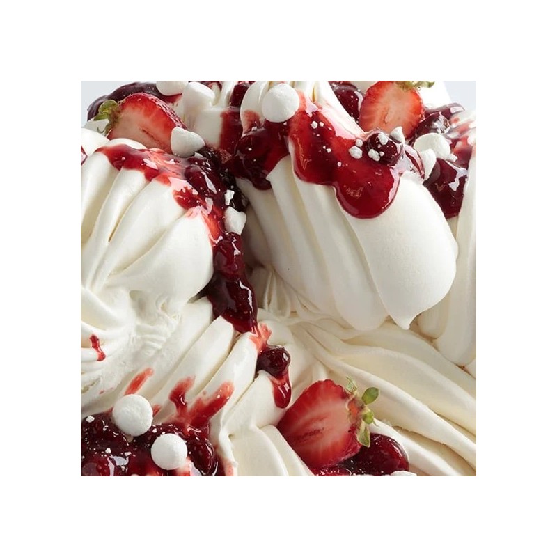 MIESZANKA ŚMIETANKOWA JOYGELATO CHEPANNA (1 KG)