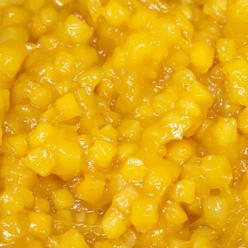 NADZIENIE MANGO FRUTTIDOR MANGO (3,3 KG)