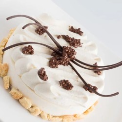 MIESZANKA MASCARPONE JOJGELATO (0,8 KG)