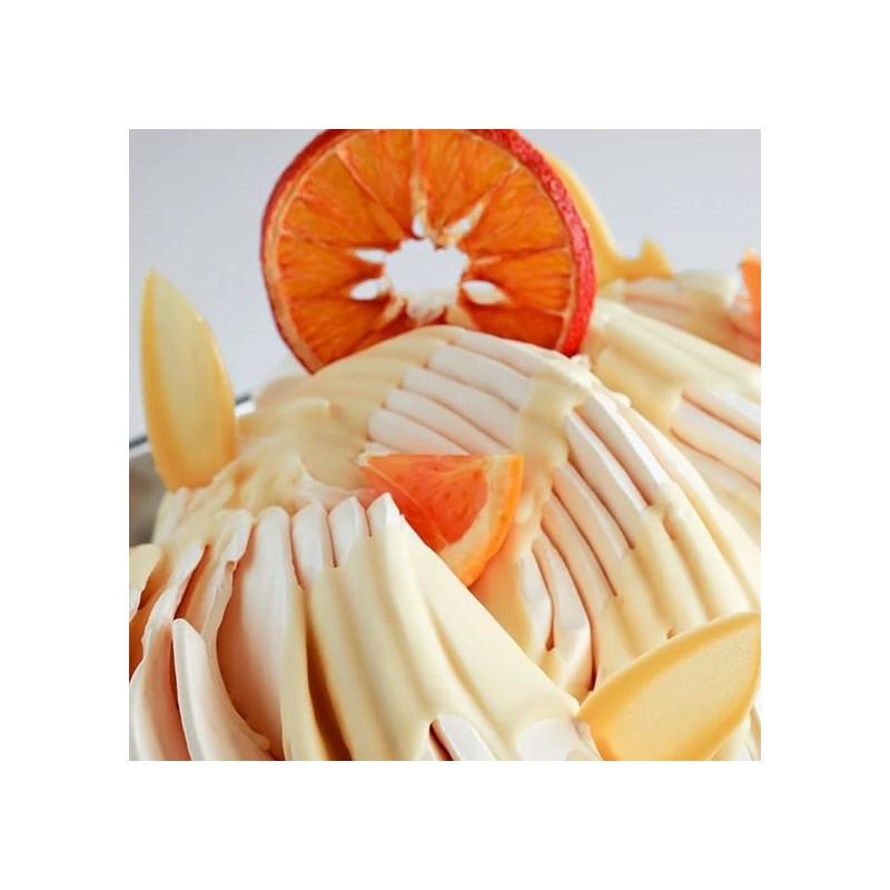 BAZA DO LODÓW Z POMARAŃCZY JOYQUICK ARANCIA (1,25 KG)