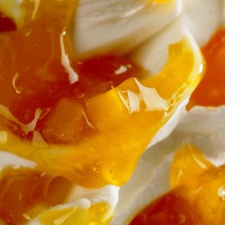 VARIEGATURA MANGO JOYFRUIT (3,5 KG)