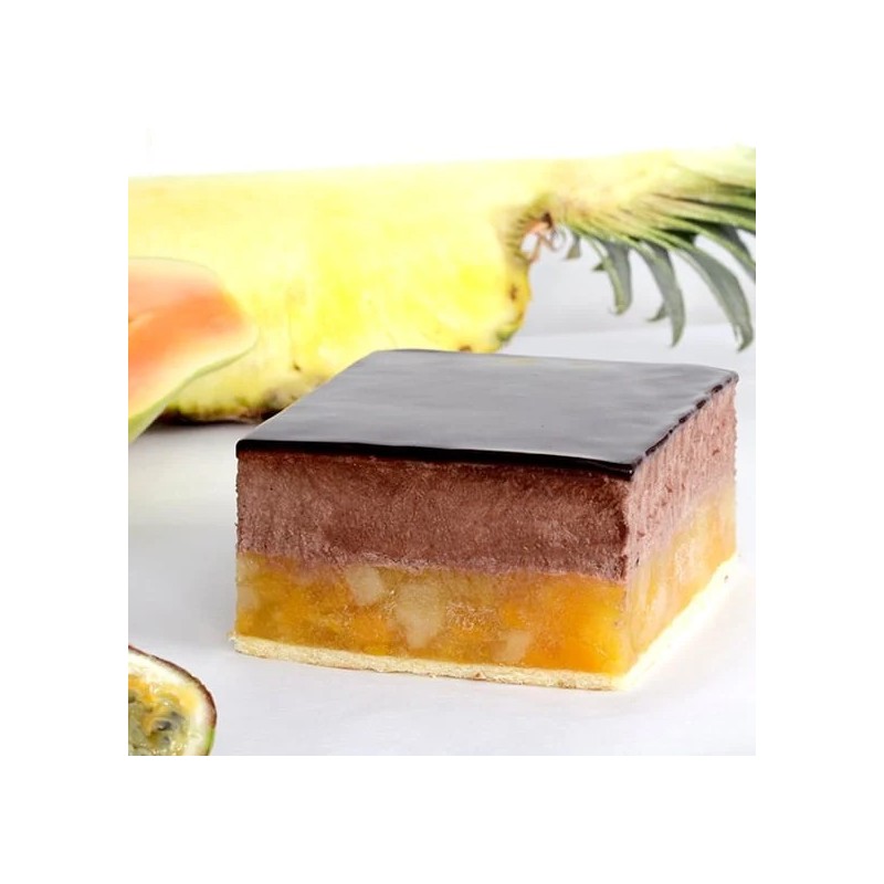 NADZIENIE OWOCE EGZOTYCZNE FRUTTIDOR TROPICAL (3,3 KG)