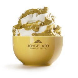 KREM PISTACJOWY Z KARMELIZOWANĄ PISTACJĄ JOYCREAM (5 KG)