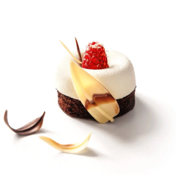 DEKORACJE CZEKOLADOWE LISTKI WIERZBY (2,5 KG)