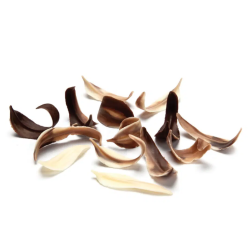 DEKORACJE CZEKOLADOWE LISTKI WIERZBY (2,5 KG)