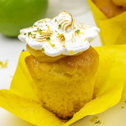 MIESZANKA CIASTA BISZKOPTOWO TŁUSZCZOWEGO SOFTCAKE LEMONIADA (15 KG)