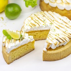 MIESZANKA CIASTA BISZKOPTOWO TŁUSZCZOWEGO SOFTCAKE LEMONIADA (15 KG)