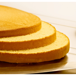 BAZA DO CIASTA JASNA SONN CAKE BASE WHITE (15 KG)