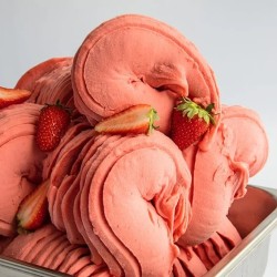 BAZA DO SORBETÓW I LODÓW JOYBASE PREMIUM FRUIT (1 KG)