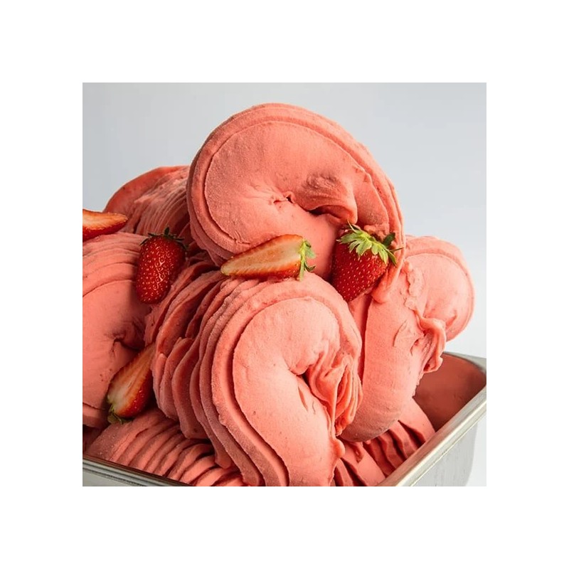 BAZA DO SORBETÓW I LODÓW JOYBASE PREMIUM FRUIT (1 KG)