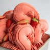 BAZA DO SORBETÓW I LODÓW JOYBASE PREMIUM FRUIT (1 KG)
