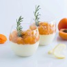 NADZIENIE OWOCOWE MORELOWE FRUTTIDOR ALBICOCOA (3,3 KG)